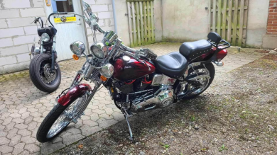 FXSTS Softtail Springer
