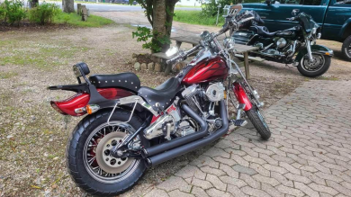 FXSTS Softtail Springer
